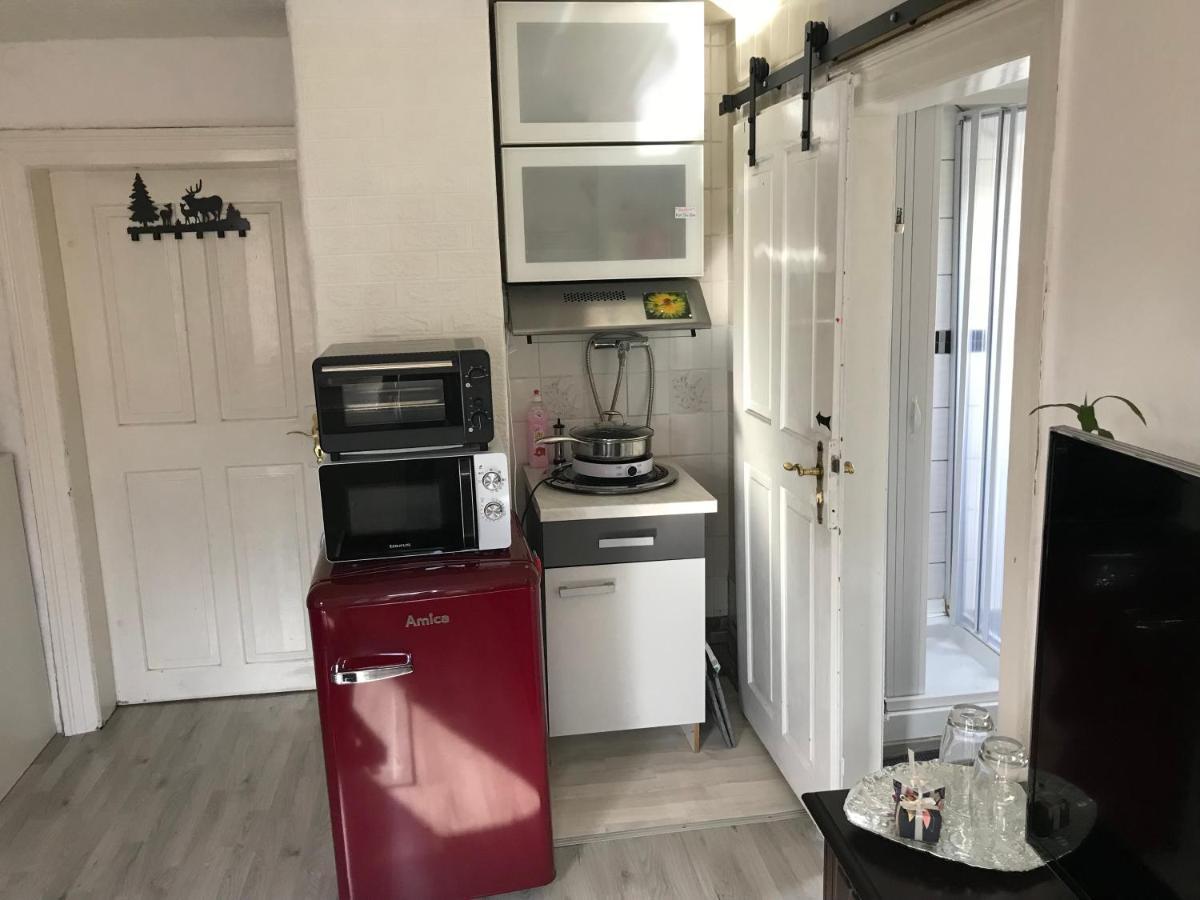 Ferienwohnung im Einfamilienhaus, Automobil und Robert Schumann Stadt Zwickau Exterior foto